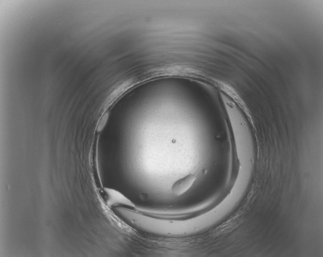 X0000077990946200611171751