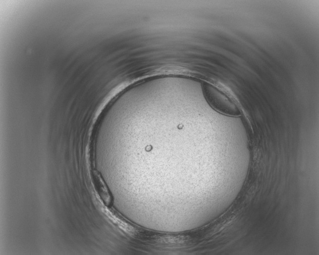 X0000077990947200611171751