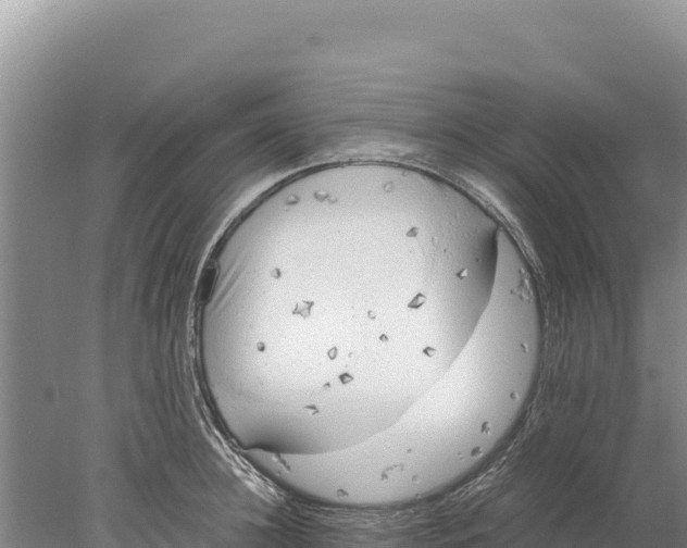 X0000077990948200611171751