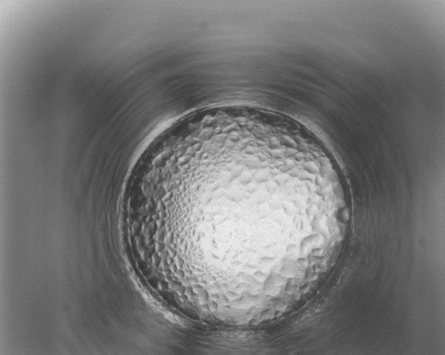 X0000077990949200611171751