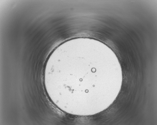 X0000077990950200611171751