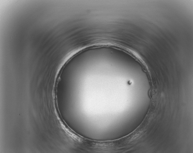 X0000077990951200611171751