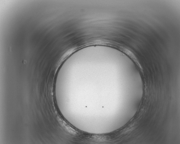 X0000077990954200611171751