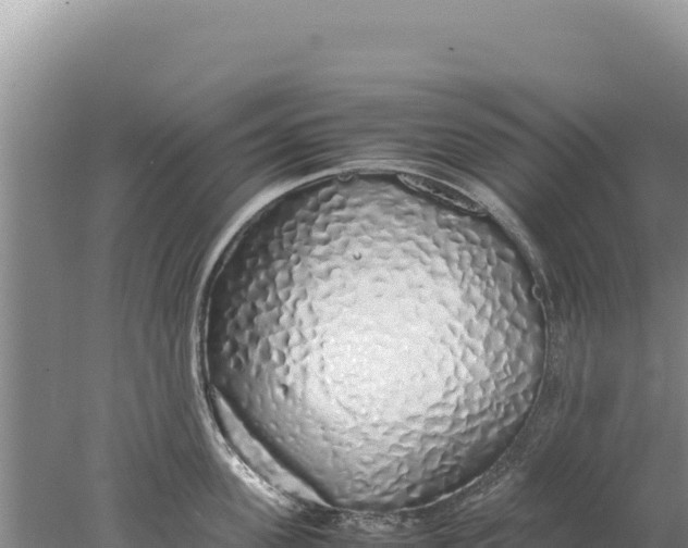 X0000077990955200611171751