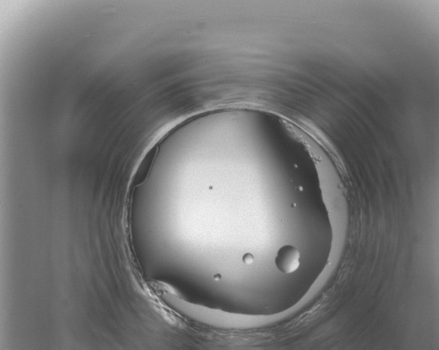 X0000077990956200611171751