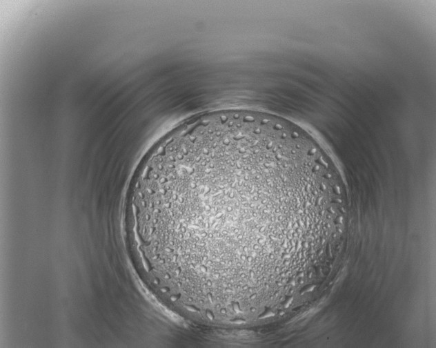 X0000077990957200611171751