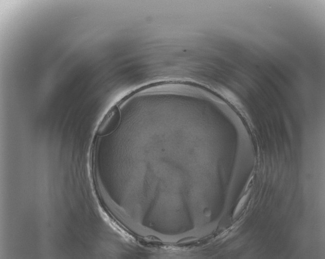 X0000077990958200611171751