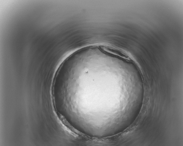 X0000077990959200611171751