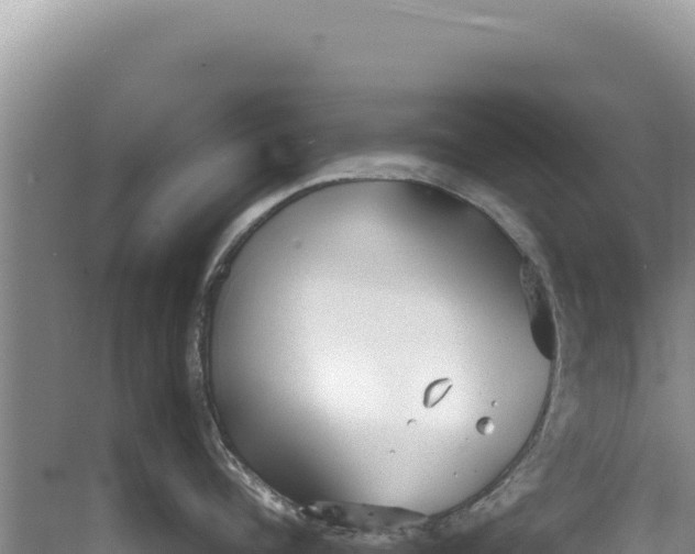 X0000077990960200611171751