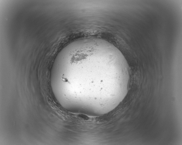 X0000077990961200611171750