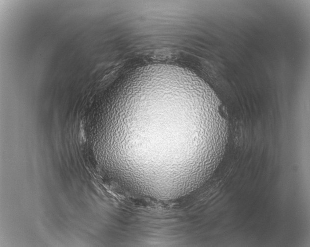 X0000077990962200611171750