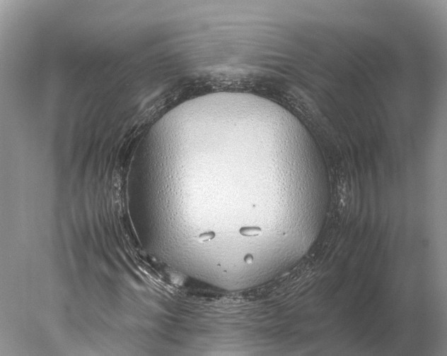 X0000077990964200611171750