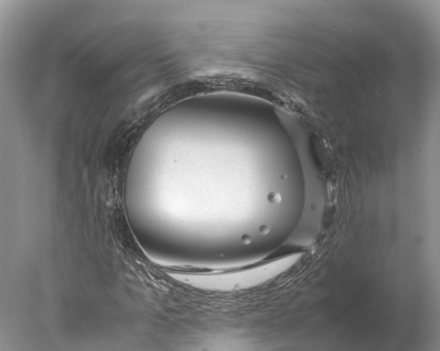 X0000077990965200611171750