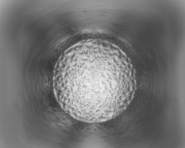 X0000077990966200611171750