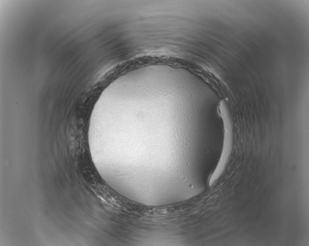 X0000077990968200611171750