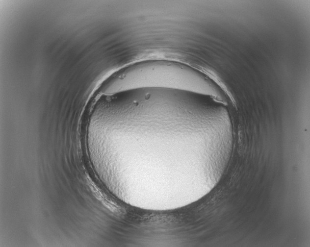 X0000077990972200611171750