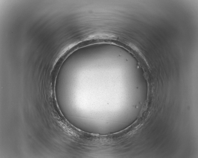 X0000077990973200611171750