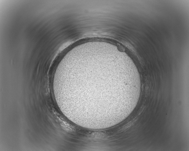 X0000077990974200611171750