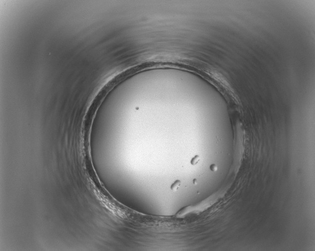 X0000077990976200611171750