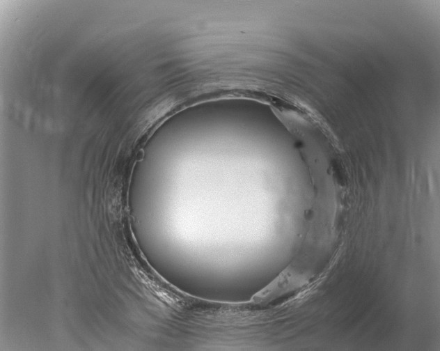 X0000077990977200611171750