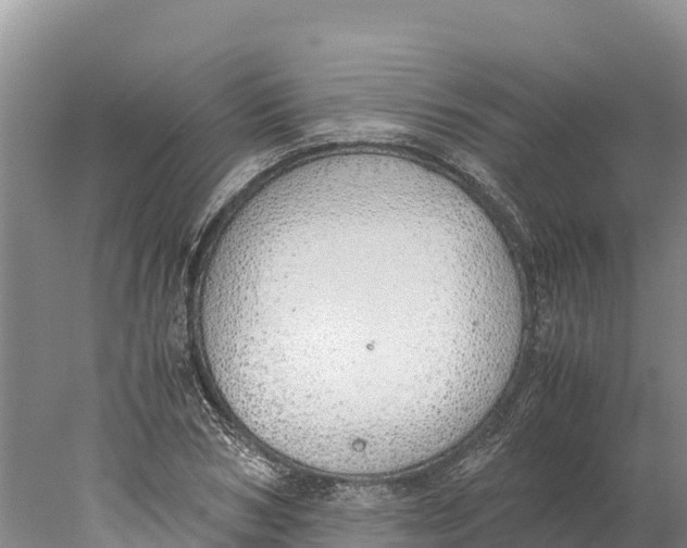 X0000077990978200611171750