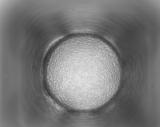 X0000077990979200611171750