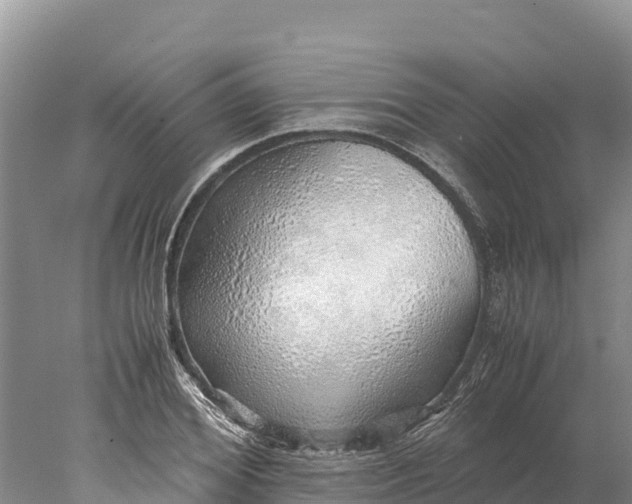 X0000077990980200611171750