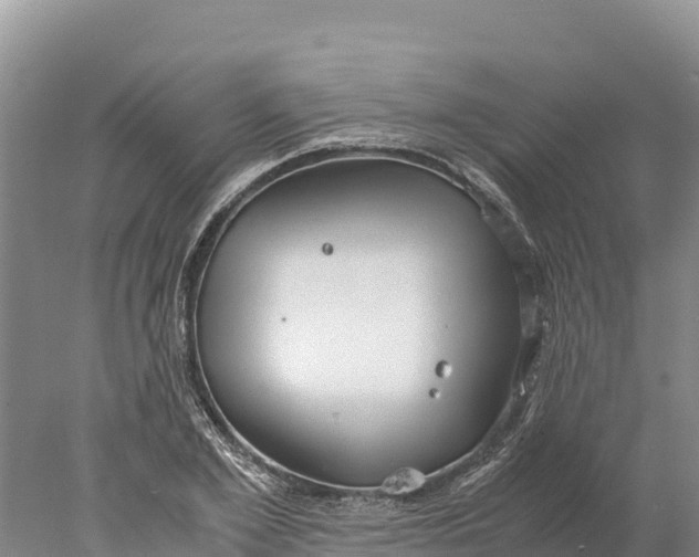 X0000077990981200611171750