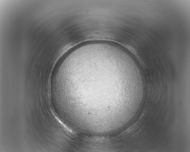 X0000077990982200611171750