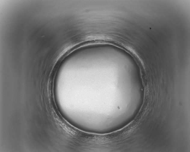 X0000077990983200611171750