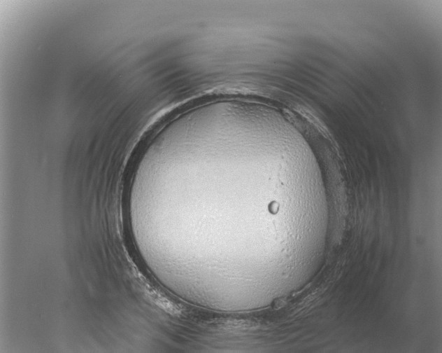 X0000077990984200611171750