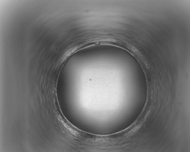 X0000077990985200611171750