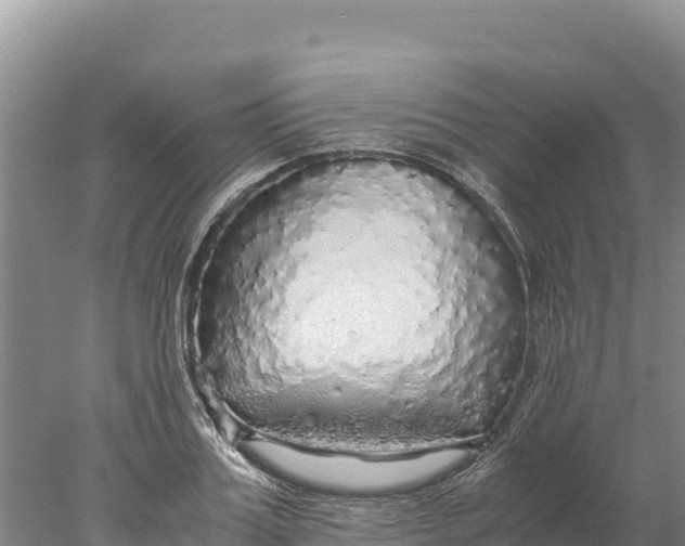 X0000077990987200611171750