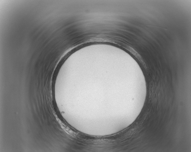 X0000077990988200611171750