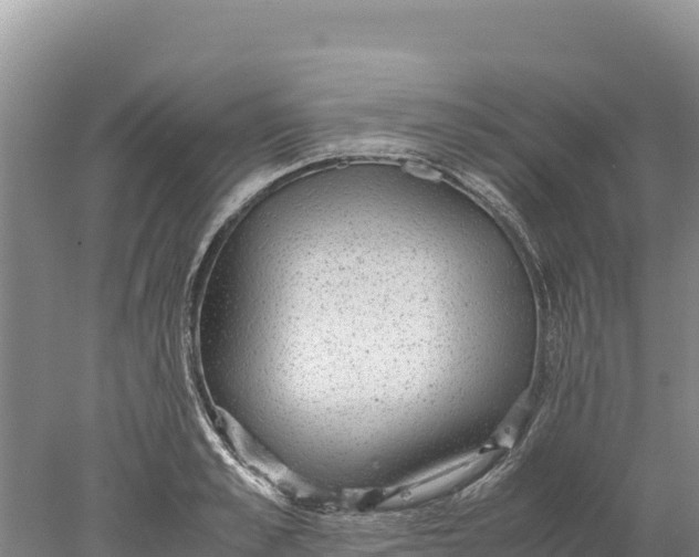 X0000077990989200611171750