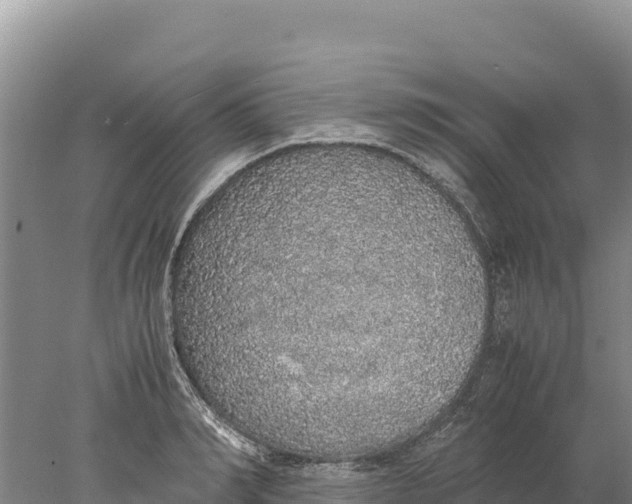 X0000077990990200611171750