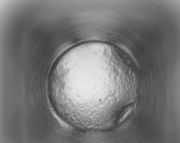 X0000077990991200611171750