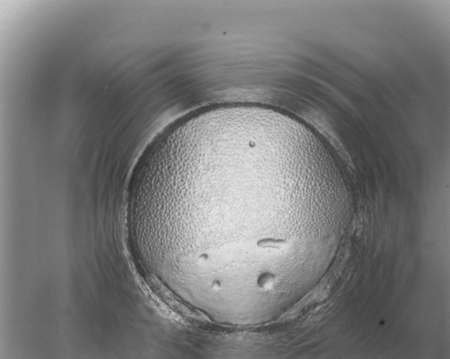 X0000077990992200611171750