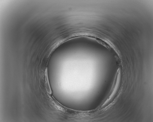 X0000077990993200611171750