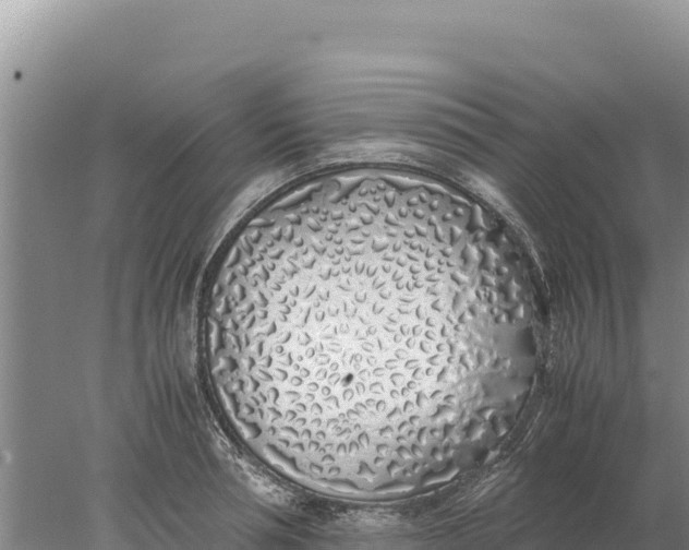 X0000077990994200611171750