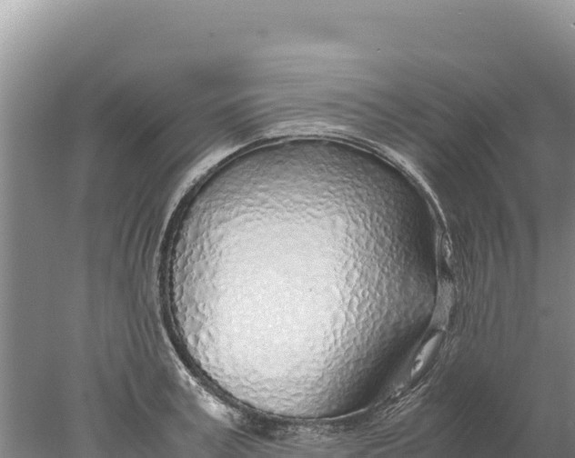 X0000077990995200611171750