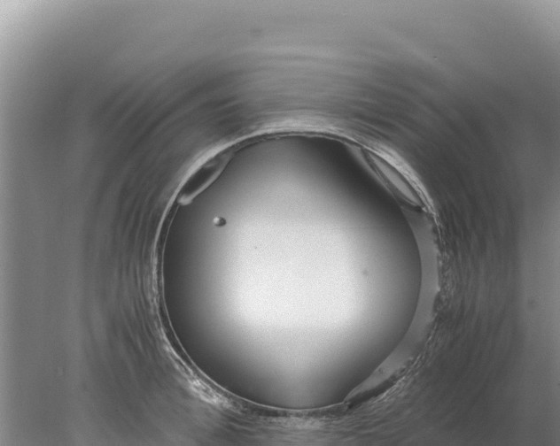 X0000077990996200611171750