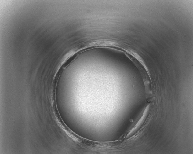 X0000077990997200611171750