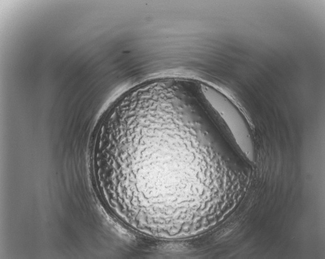 X0000077990998200611171750