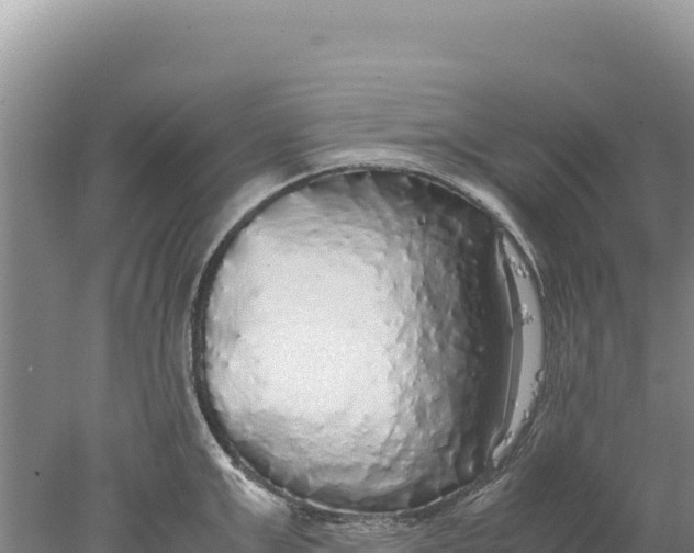 X0000077990999200611171750