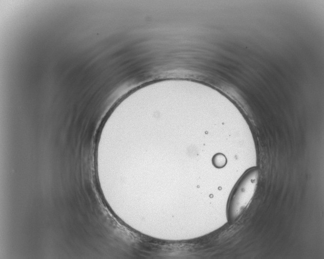 X0000077991000200611171750