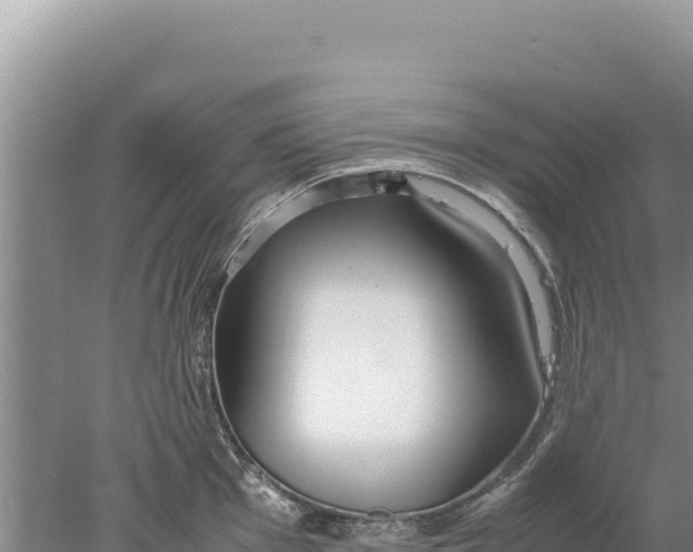 X0000077991001200611171750