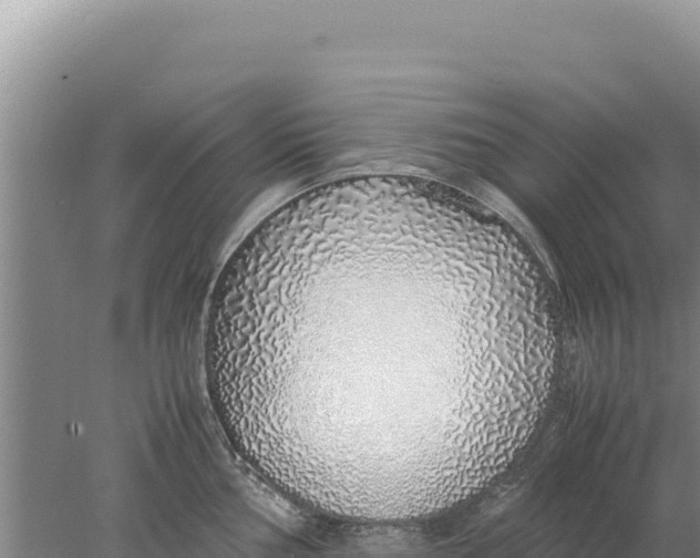 X0000077991002200611171750