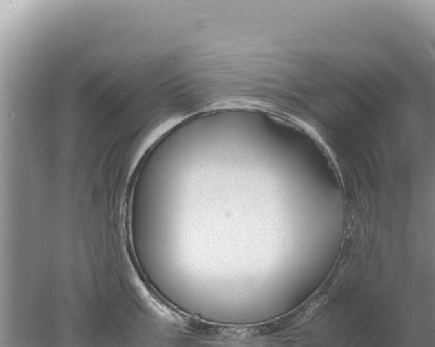 X0000077991003200611171750