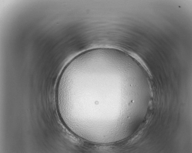 X0000077991004200611171750